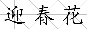 迎春花