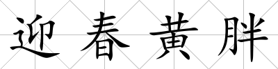 迎春黃胖