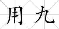 用九