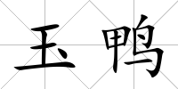 玉鴨