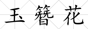 玉簪花