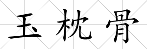 玉枕骨