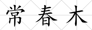 常春木