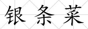 銀條菜