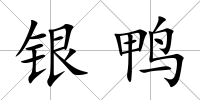 銀鴨