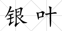 銀葉