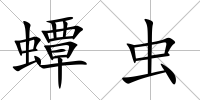 蟫蟲