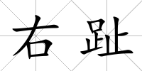 右趾