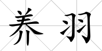 養(yǎng)羽