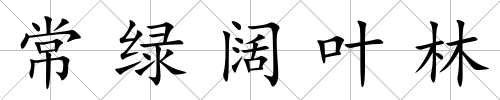 常綠闊葉林