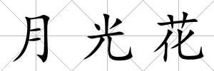 月光花