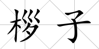 桚子
