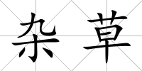 雜草