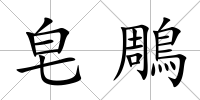 皂鵰