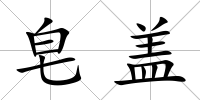 皂蓋