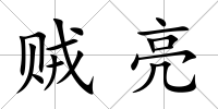 賊亮