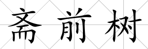 齋前樹