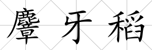 麞牙稻
