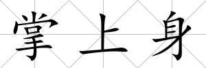 掌上身