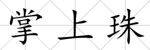掌上珠