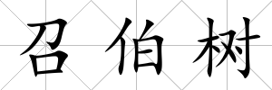 召伯樹
