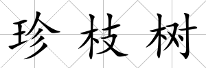 珍枝樹