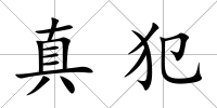 真犯
