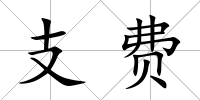 支費