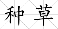 種草