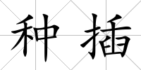 種插