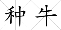 種牛