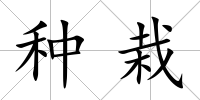 種栽