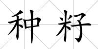 種籽