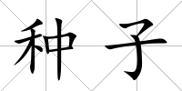 種子
