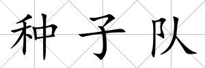 種子隊