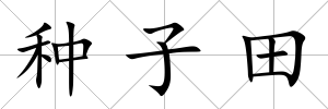 種子田