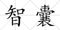 智囊