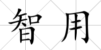 智用