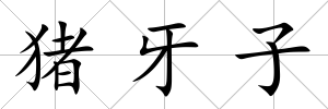 豬牙子