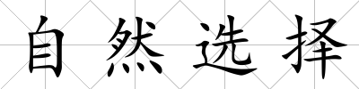 自然選擇