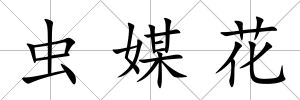 蟲媒花