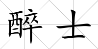 醉士