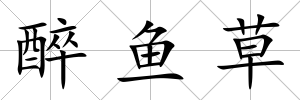 醉魚草