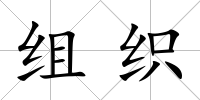 組織