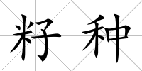 籽種