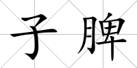 子脾