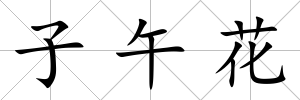 子午花