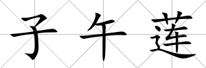 子午蓮