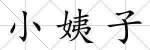 小姨子