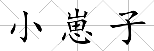 小崽子
